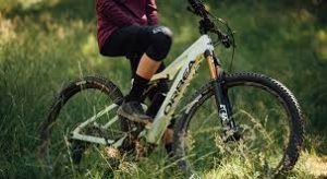 Lee más sobre el artículo Bicicletas Orbea