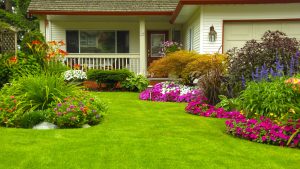 Lee más sobre el artículo ¿Cómo cuidar tu jardín?